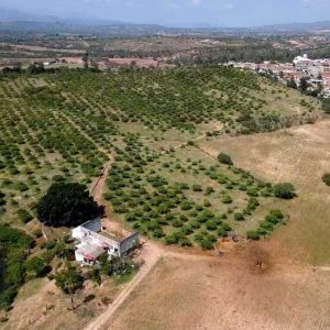 TERRENO EN VENTA EN CALVILLO
