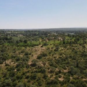 VENTA DE TERRENO EN SALTO DE LOS SALADO
